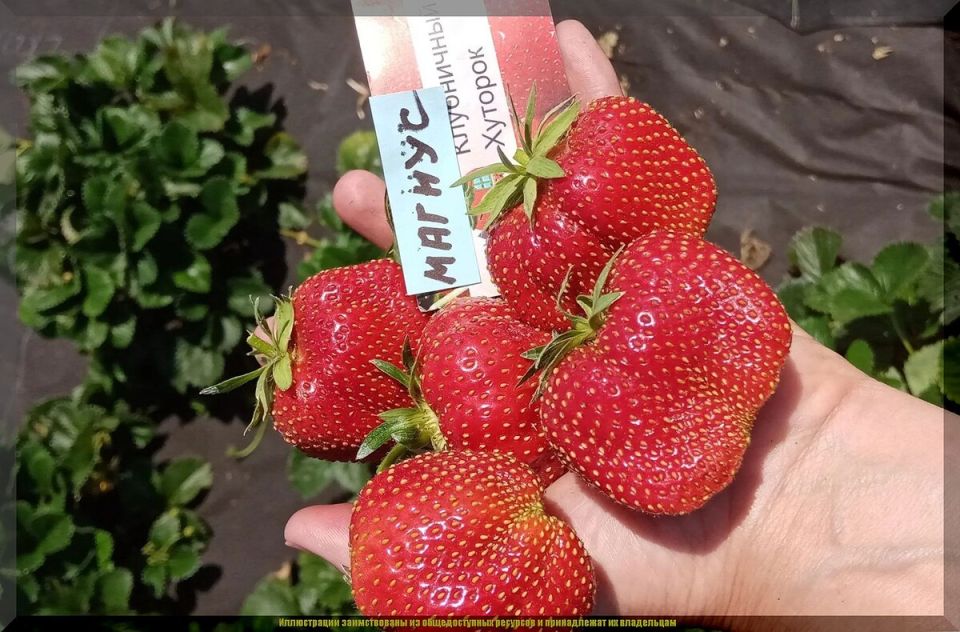 ��� ������� ���� ��������� ���: ������ �� ����� �� ������� � �������