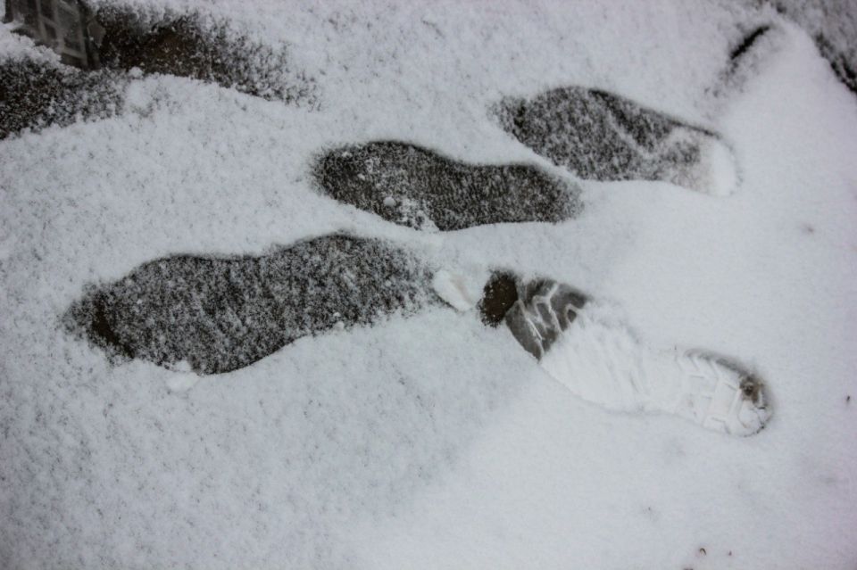 ������ � ����� �� ��������� ������