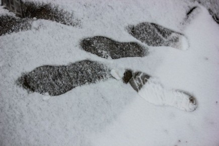 ������ � ����� �� ��������� ������