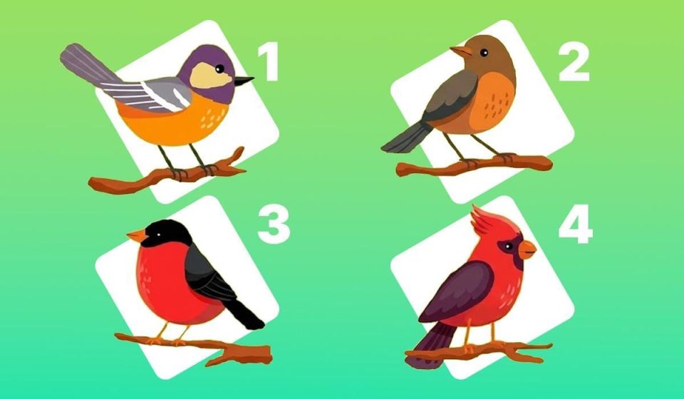 ���� �� ������: ��� ������� ���������� ����� � ������ ���� �������