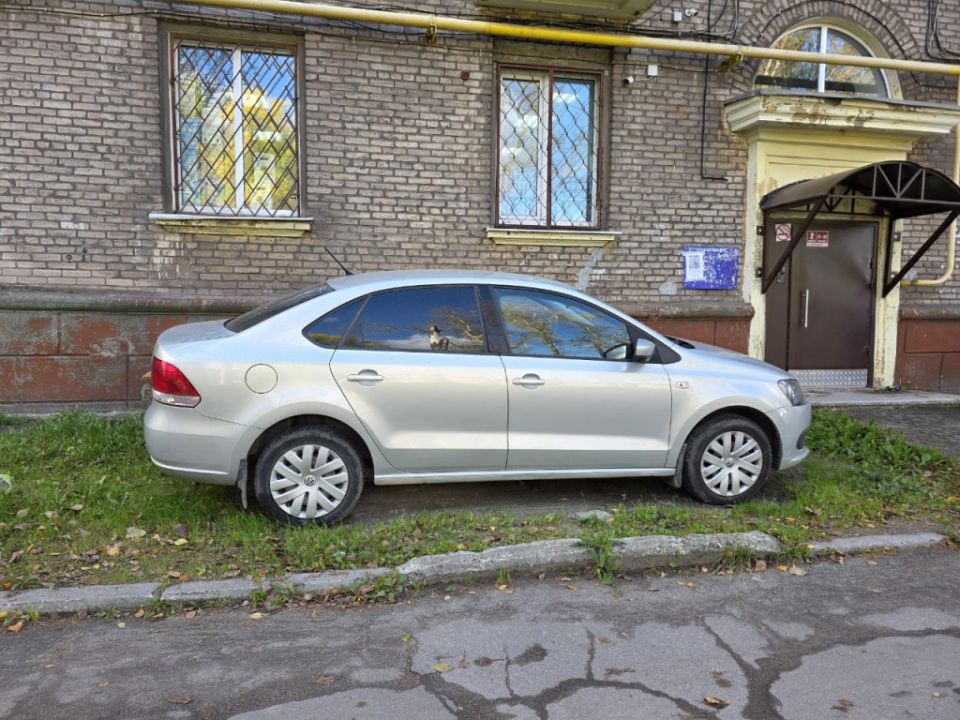 ��� ������� �������� ������� ����: ����������� ������ ������ ��������