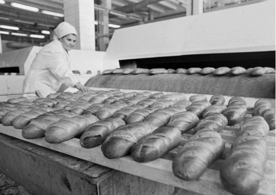 Как выбрать настоящий хлеб: простые советы и секреты