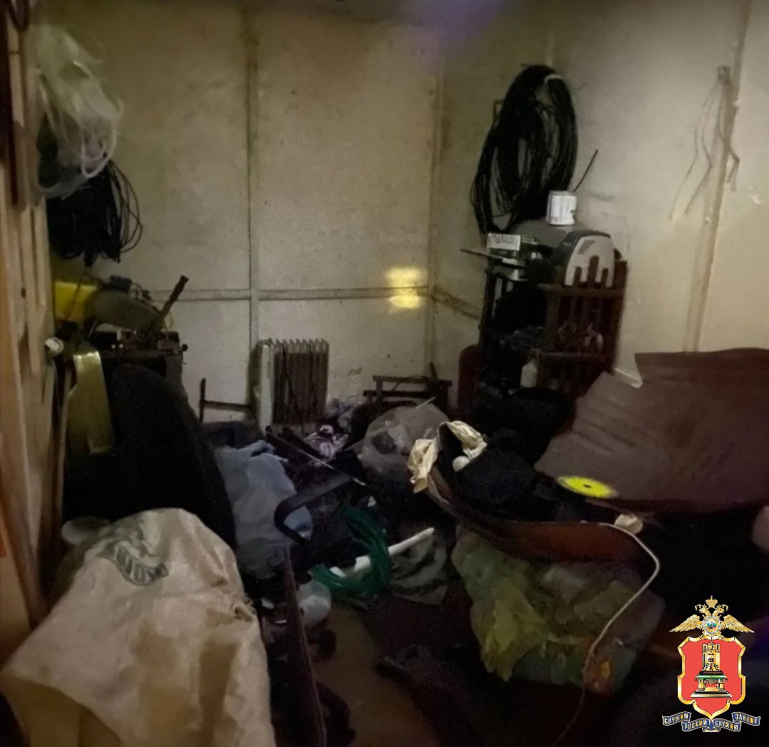 Смотрю - мой ковёр идёт: житель Спирова помог полиции раскрыть кражу по горячим следам Смотрю - мой ковёр идёт: житель Спирова помог полиции раскрыть кражу по горячим следам