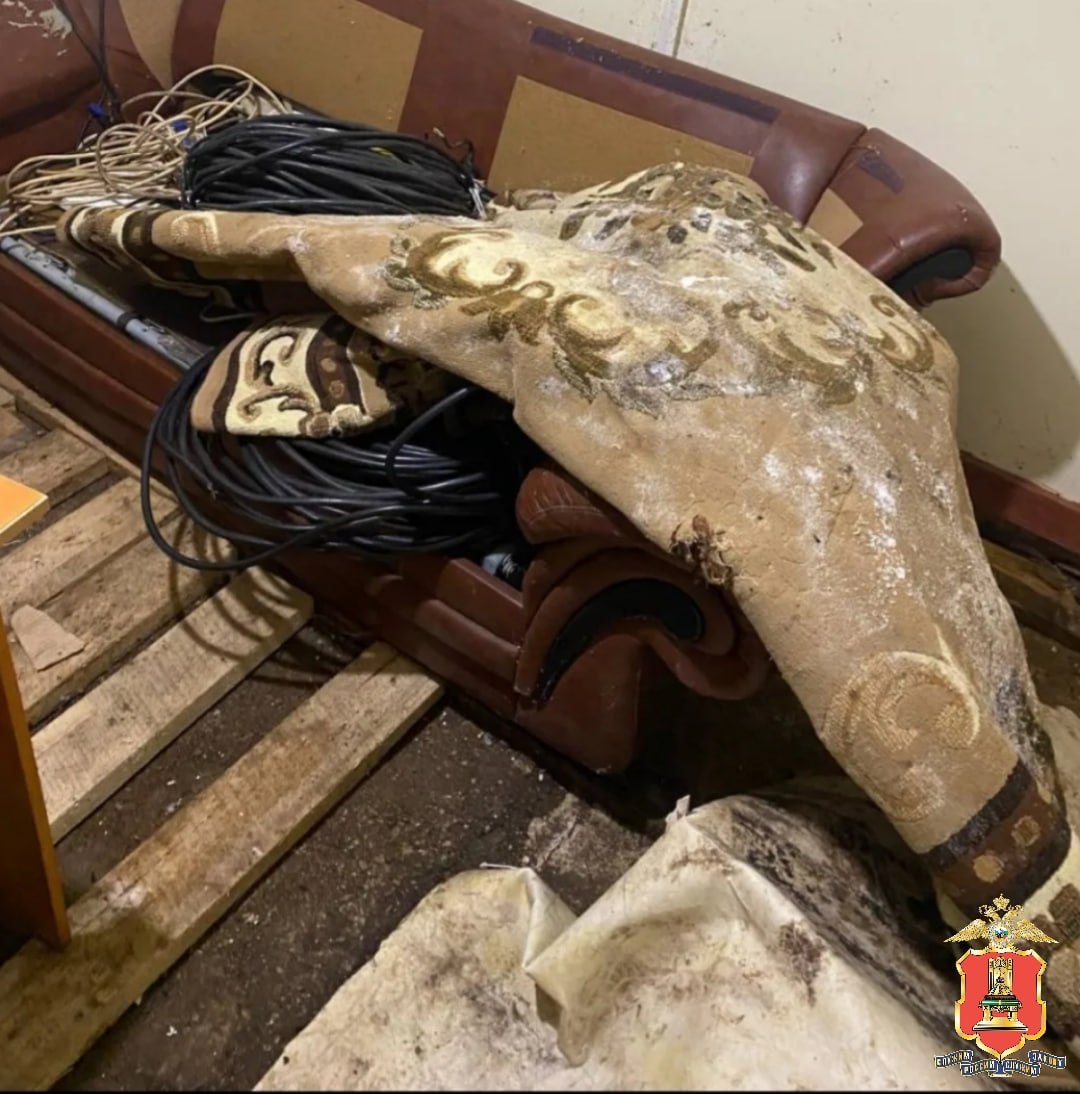 Смотрю - мой ковёр идёт: житель Спирова помог полиции раскрыть кражу по горячим следам Смотрю - мой ковёр идёт: житель Спирова помог полиции раскрыть кражу по горячим следам