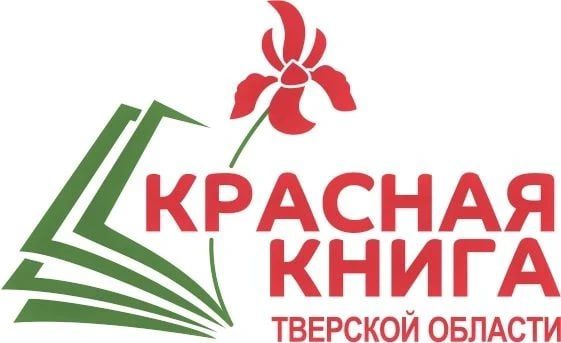 � �������� ������� ��������� ��������� ���������� ������� �������� �������� ����� �������� ������� ������� �����. ������ ���� �������� � �������� � �������� � ������������ ��������