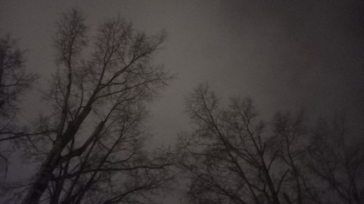 ��� �������� �������� ������� ����� ��� ���� ��������� �����������