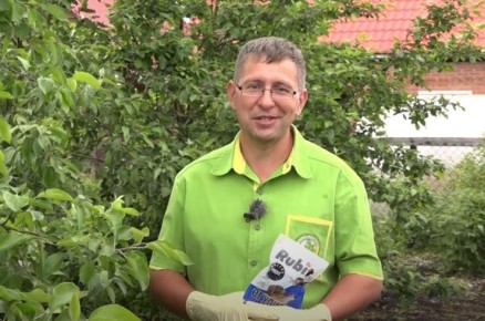 ��� �������� ������ �� �������� � ���������� � ������ �����