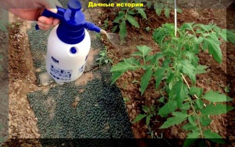 ����������� ��� ��������: ��� ������� � ��������� ����������� �������