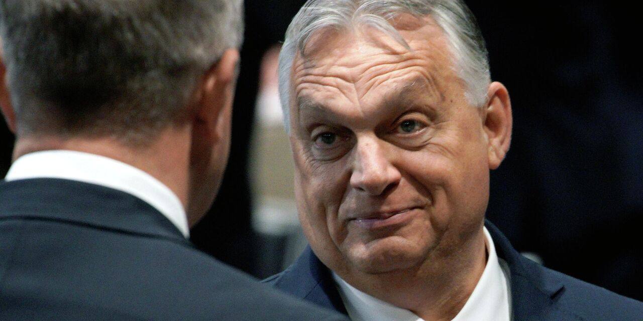 Твердо и адекватно. Евросоюзу больно прилетело за вседозволенность Украины