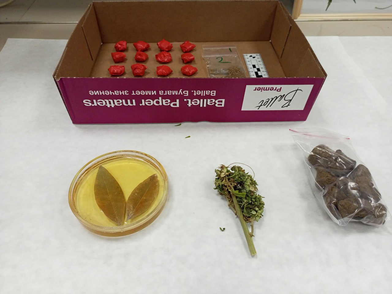 Тверские полицейские пригласили журналистов на пресс-тур в Экспертно-криминалистический центр УМВД Тверские полицейские пригласили журналистов на пресс-тур в Экспертно-криминалистический центр УМВД