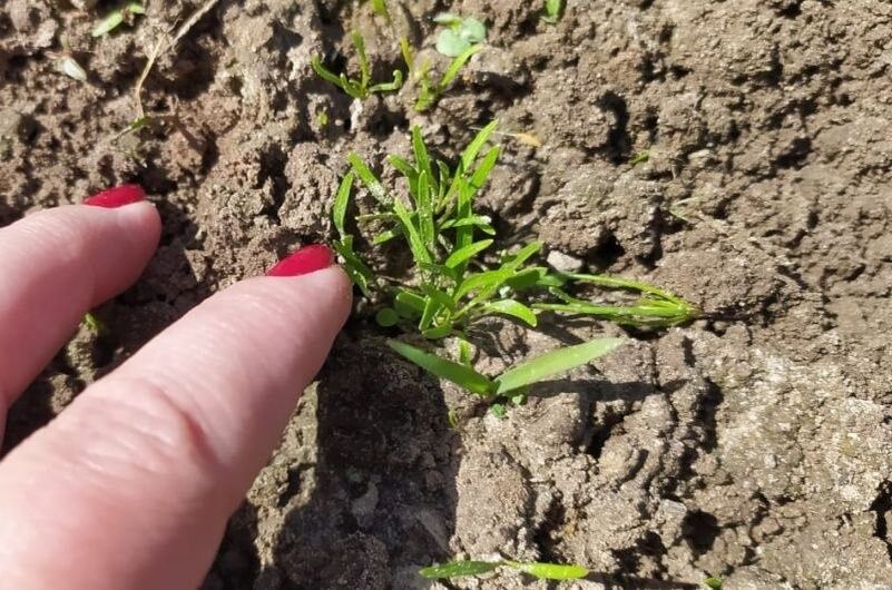 ��� �������� ������� �� ����������: ������� ������ ��� �����������