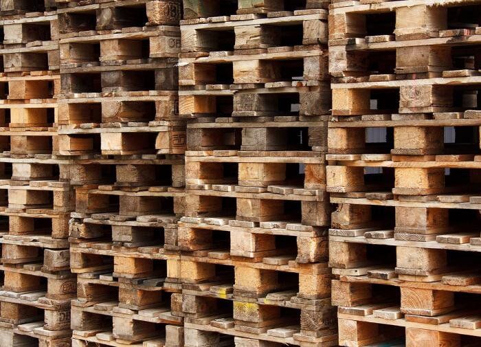 ������ ��� ����: ������� ������� ������ ������