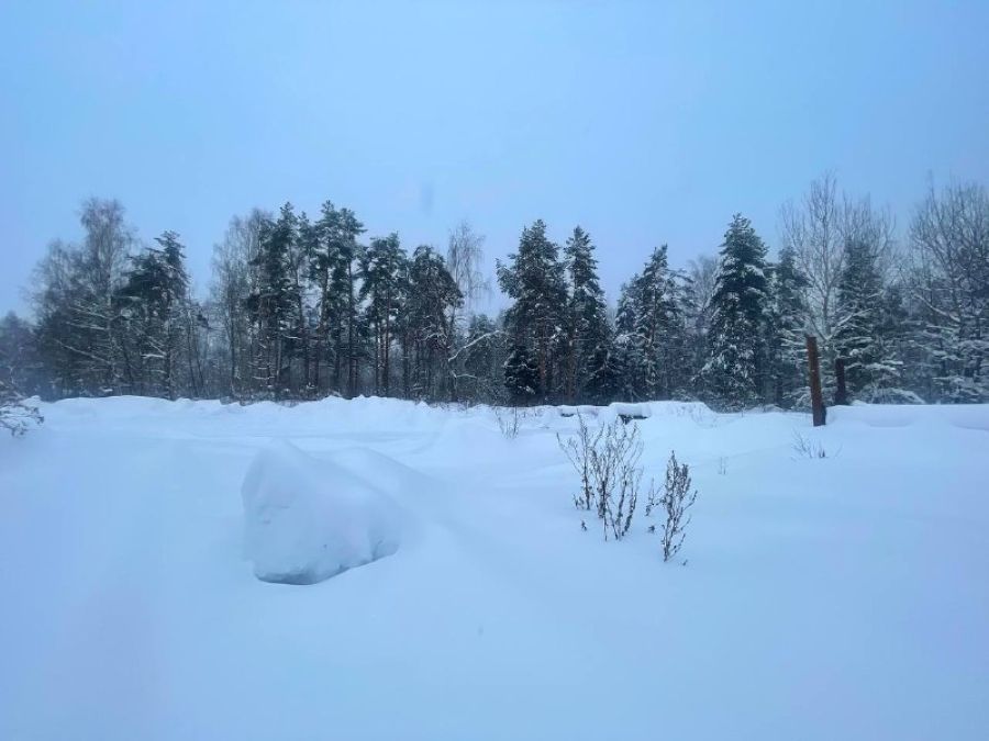 �����-����: ��� � �������� ������� ����� ������� �������