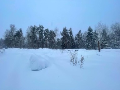 �����-����: ��� � �������� ������� ����� ������� �������