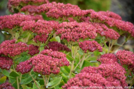 ���� �� ������� � ������: ������� ��� ��������� �������� � ��������� ������