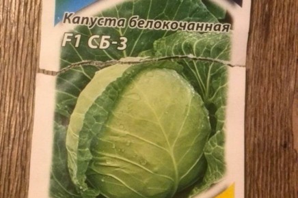 ������� �������� ������� �������: ����� � ��� ��������� �����