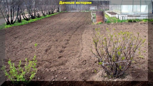 ���������� � ������� ������: ������ ��� �������� �������