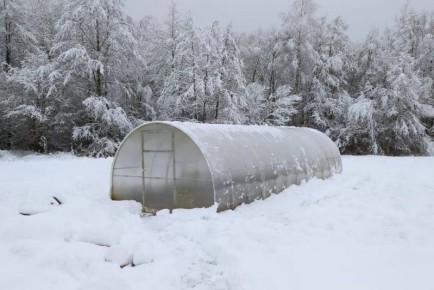 Декабрьские заботы: что важно сделать в саду и огороде