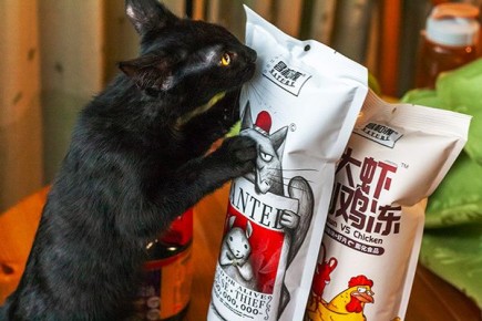 �������� ����������� ��������� �����: �������� ��������� ����� ��� ����������� ���������