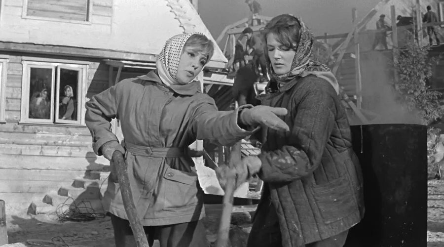 Почему картошка из магазинов оставляет желать лучшего