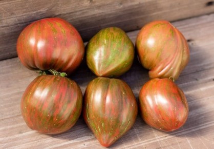 ����� ���������� ���������: ������� ������ ��� ���������