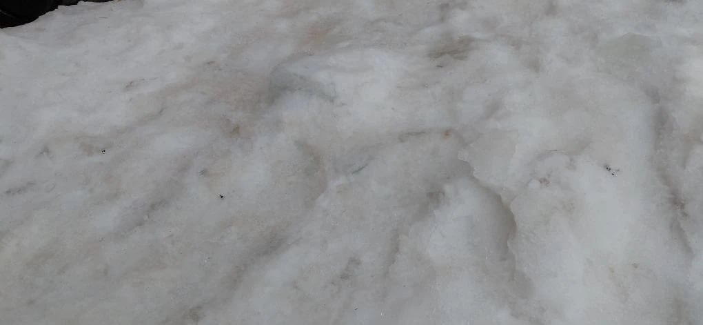 Появились фото с массового катка на тротуарах в Твери