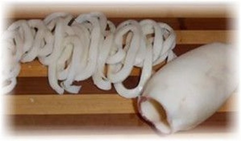 ��� �������� ����������� ��������: ������� � ������