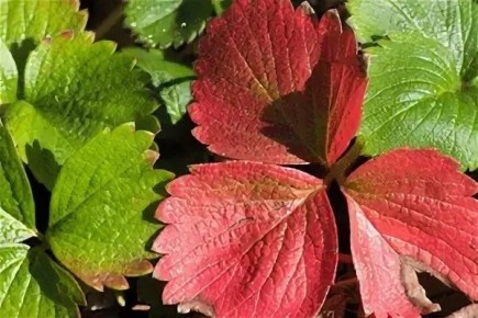 ������� ������ ��������: ��� ��� ������ � ��� ������ ��������