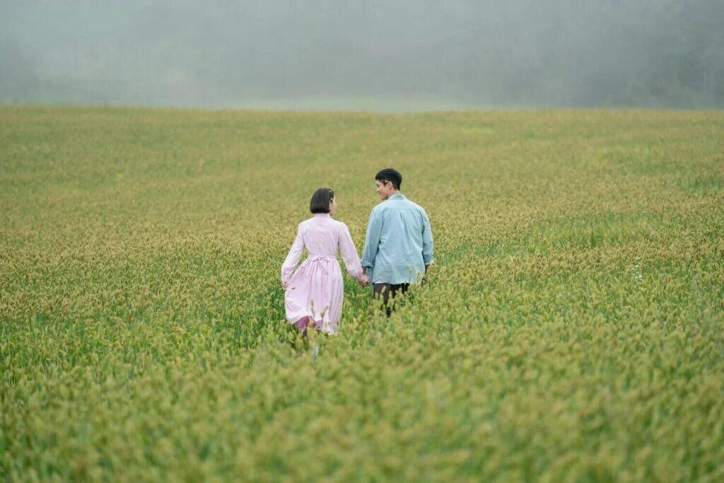 Когда жизнь дарит мандарины: история о любви и традициях семьи