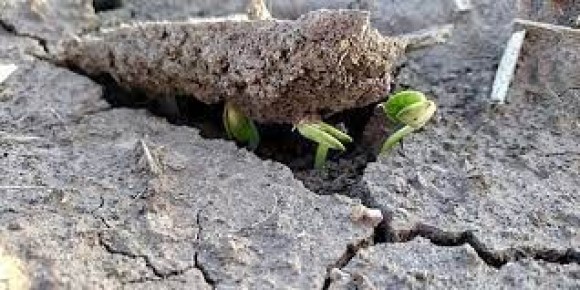 ��� ��������� ����� ������� � �����: ����� ��� �����?