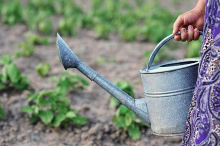 ��� ��������� �������� ������ � ����: ������ ���������