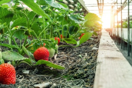 ��������� �������� ������: ��� ��������� ��� �������� ������