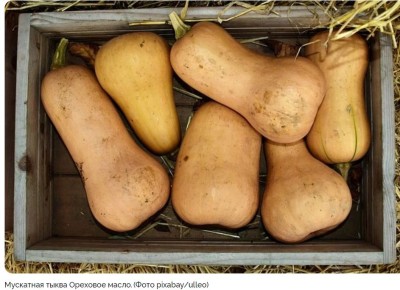 ��� ��������� ����� ������� �����: ������� ������ ��������� �����