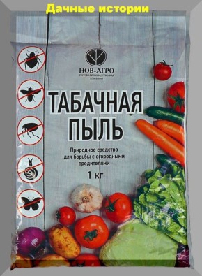 Табачная пыль: секрет успешного выращивания рассады