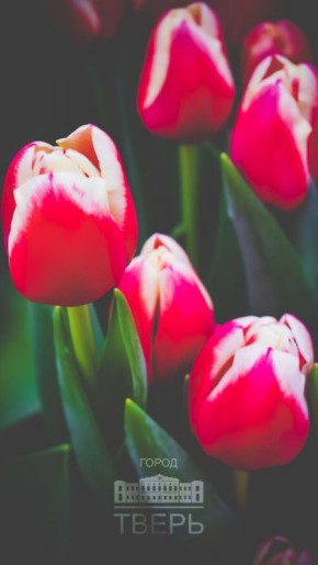 � ������� � 8 ����� � ������� ��� ����� �������!