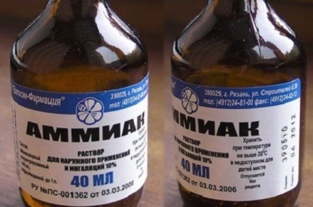 ����������� ������� ������ � �������������: ���������� ����� � ����