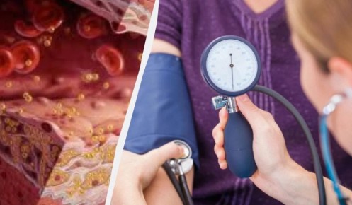 ���������� ����������� ��������� ���� ������� �� ������� ��� ��������� �������� ������