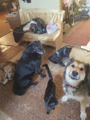 ����� �������� ����������� ������ ��������� �� ���������� ����� � �������� �������