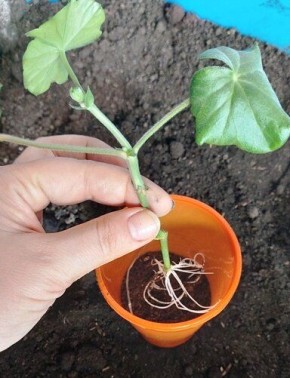 ��� ��������� ���������� ������: ������� ��������� ������������