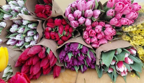 Флорист рассказала, как продлить жизнь букету тюльпанов