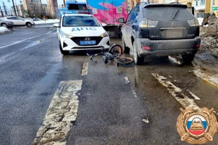 � ����� �� ���������� �������� Lexus ���� �������������