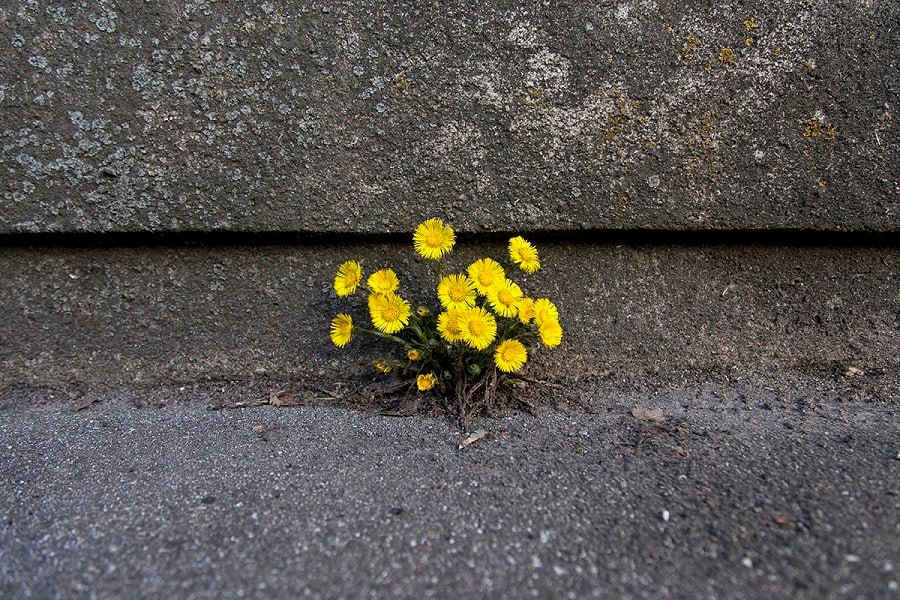 В Тверской области ожидается самый теплый день с начала года
