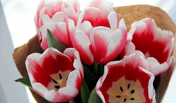 Виталий Королев поздравил со 102-летием ветерана Великой Отечественной войны Тамару Николаевну Васильеву