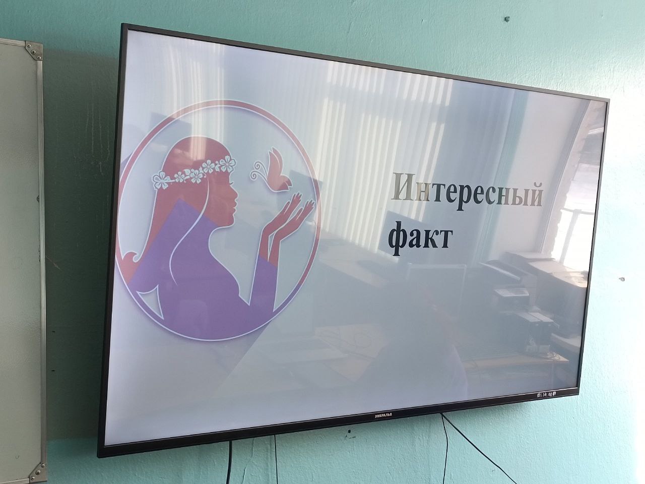 История и право: диалог со старшеклассниками