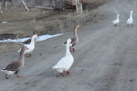 ������� �����: ��� �������� �������� � ��������� � ������� �����