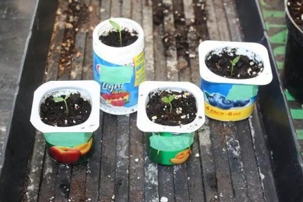 ��� ������� ���������� ��� �������: ������ ������ ��� ��������