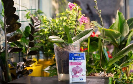 ��� ��������� �� ���������: ������� � ������