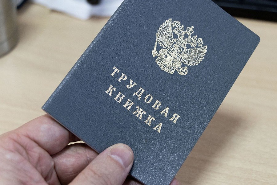 Выпускникам рассказали, какие специальности будут востребованы в России