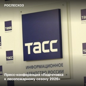 �� �������� ����������� ���� 24 ����� ��������� �����-�����������, ����������� ���������� �������� ������ � ������������� ������ 2026 ����