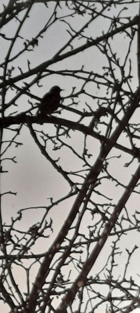 �������� ��� ����� ����������� ������� �������� �����